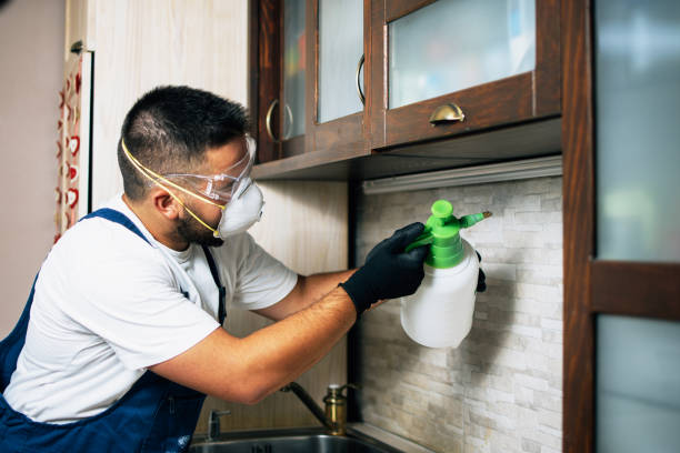 Pest Prevention Services in Bonanza, GA