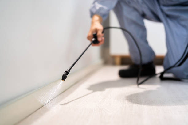 Professional Pest Control in Bonanza, GA