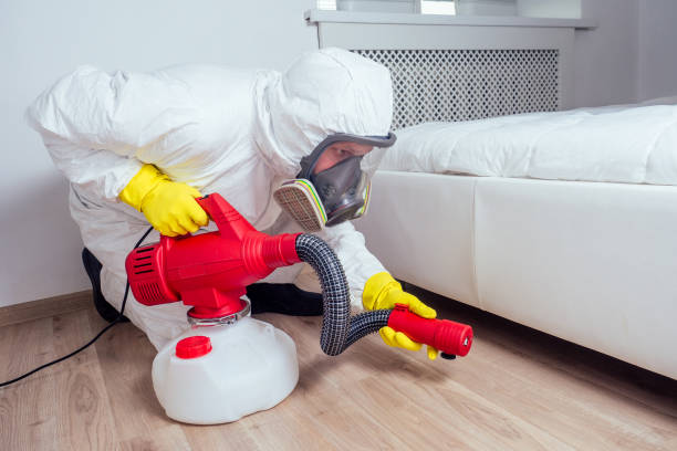 Best Local Pest Control Services  in Bonanza, GA