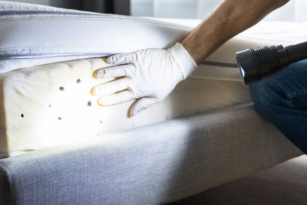 Best Pest Inspection Near Me  in Bonanza, GA