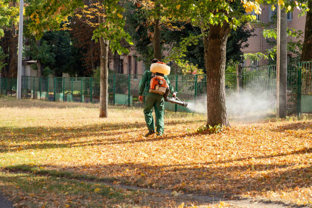 Best Ant Control Services  in Bonanza, GA